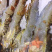 小青龙规格300-400