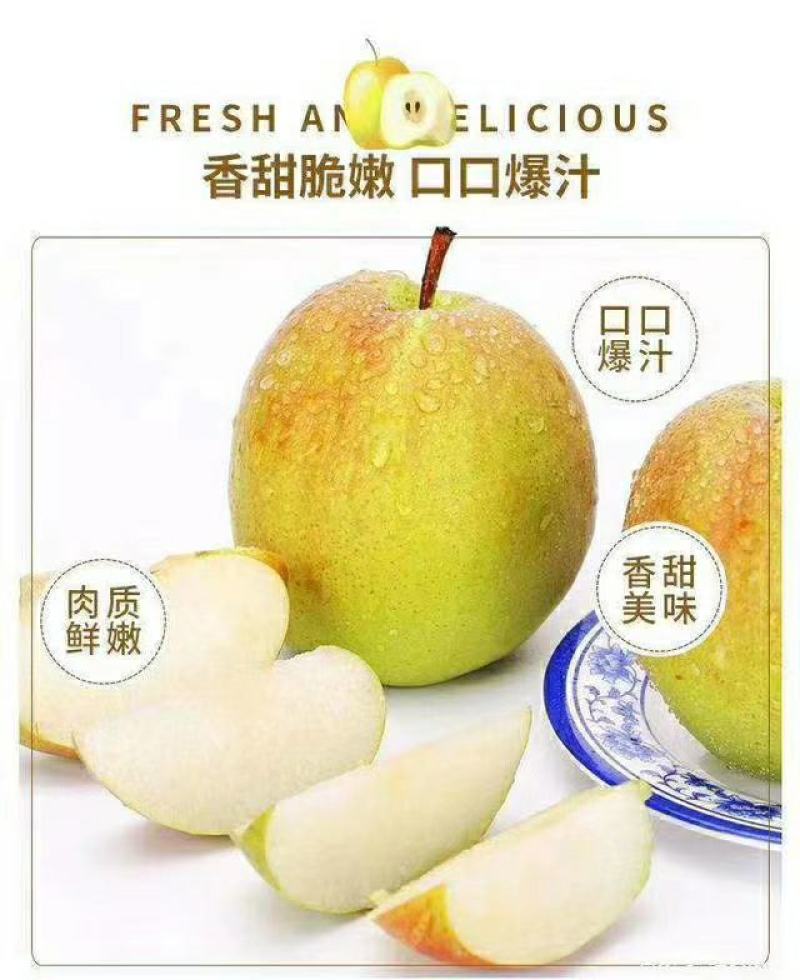 批发隰县玉露香梨75一80#18颗装