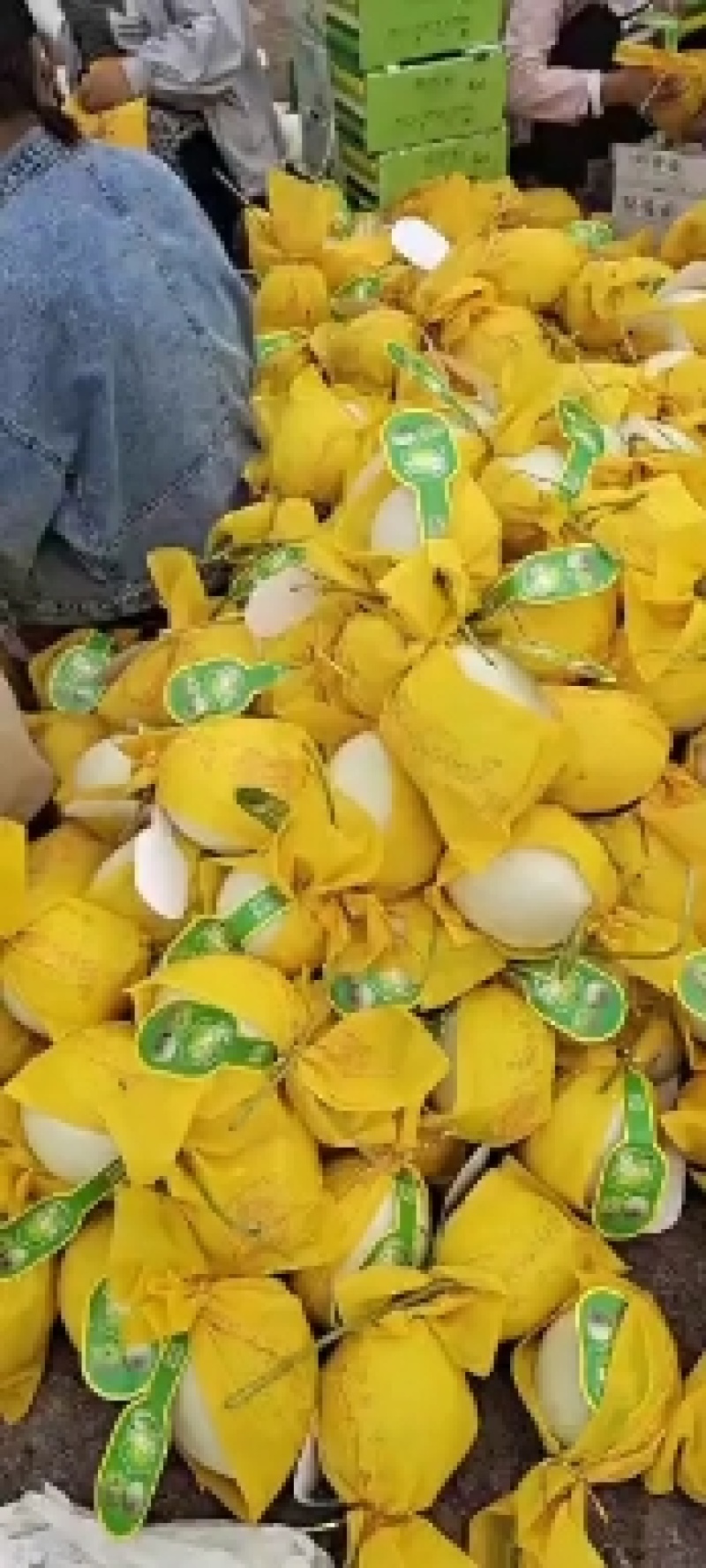河北玉姑甜瓜皮薄肉厚，含糖量高，基地直供