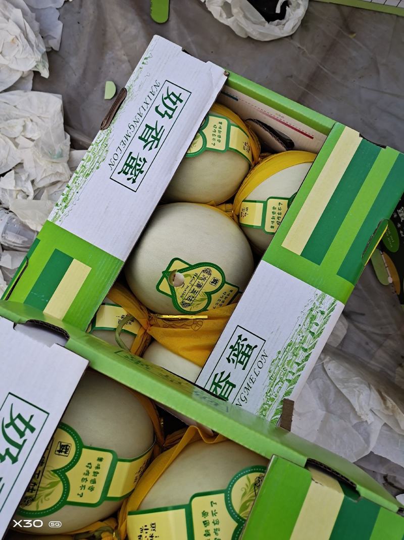 河北玉姑甜瓜皮薄肉厚，含糖量高，基地直供
