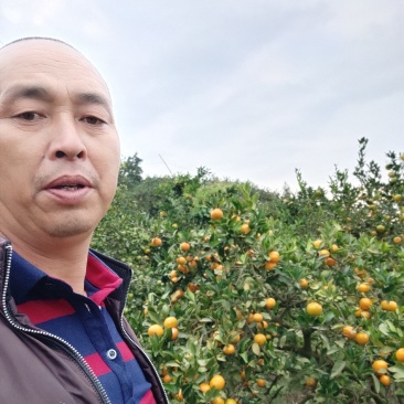 东江湖的普早怎么样价格美美的