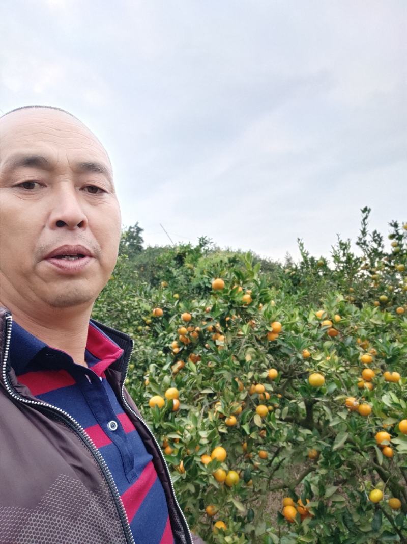 东江湖的普早怎么样价格美美的