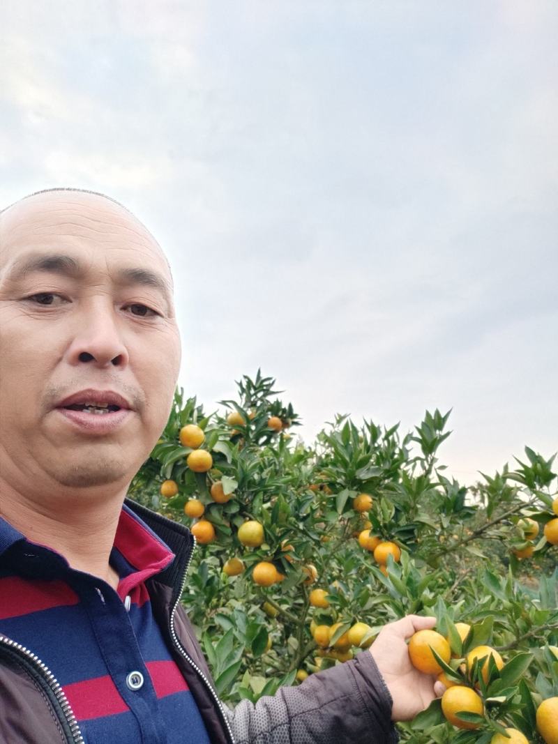 东江湖的普早怎么样价格美美的