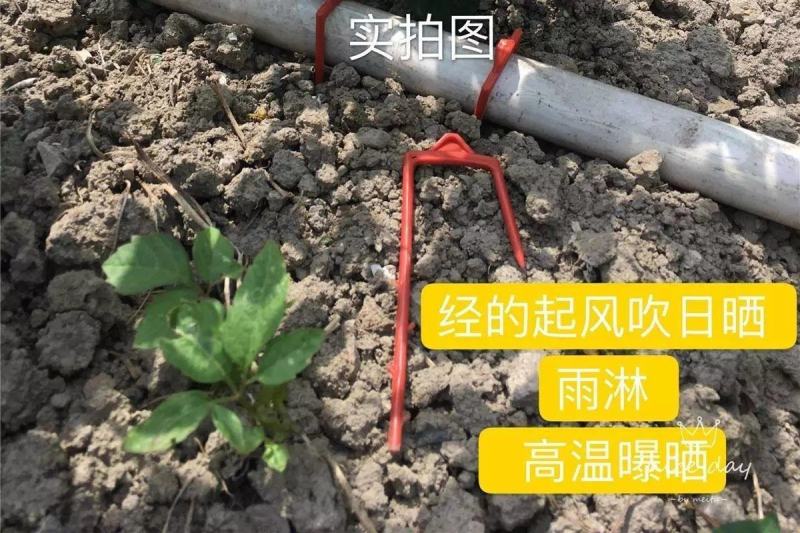 滴管叉，滴管固定器，微喷固定叉，滴灌带叉，滴灌带卡