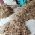 云南丽江滇重楼块茎成品，，漂亮含量高