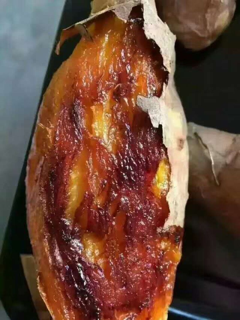 即墨丰城北芦西瓜红地瓜