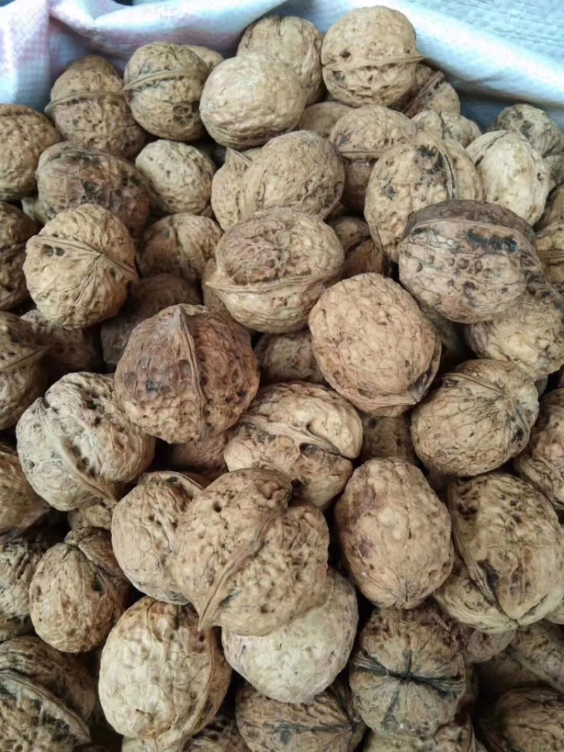云南核桃，薄皮核桃，