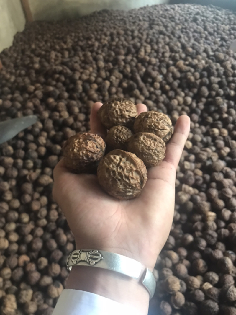 云南核桃，薄皮核桃，