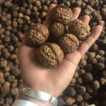 云南核桃，薄皮核桃，