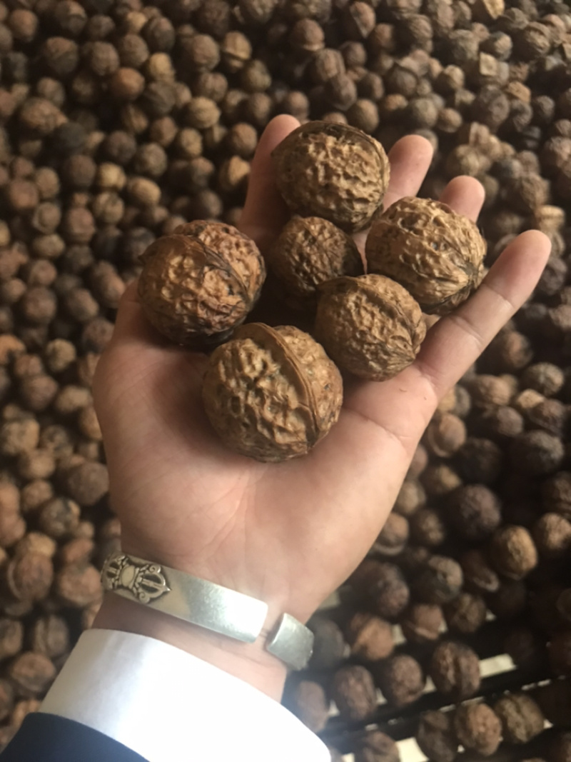 云南核桃，薄皮核桃，