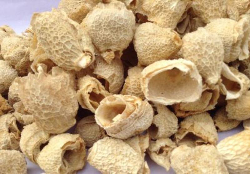 竹荪竹毛肚织金红拖竹荪菌盖食用菌盖无硫熏货真价实