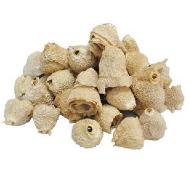 竹荪竹毛肚织金红拖竹荪菌盖食用菌盖无硫熏货真价实