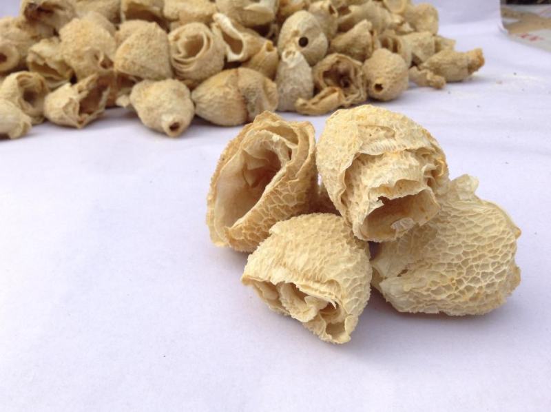 竹荪竹毛肚织金红拖竹荪菌盖食用菌盖无硫熏货真价实