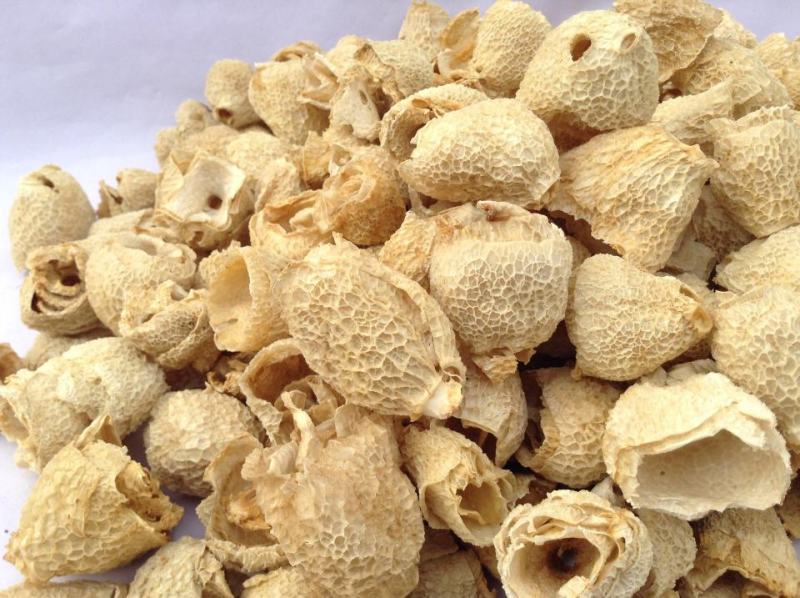 竹荪竹毛肚织金红拖竹荪菌盖食用菌盖无硫熏货真价实