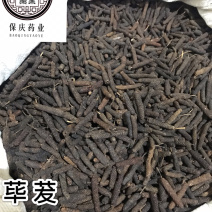 荜茇荜拨保庆药业批发大料荜茇筚拨实物拍摄！