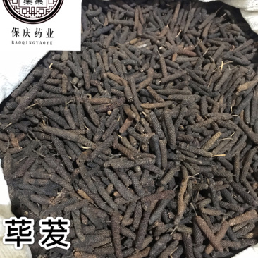 荜茇荜拨保庆药业批发大料荜茇筚拨实物拍摄！