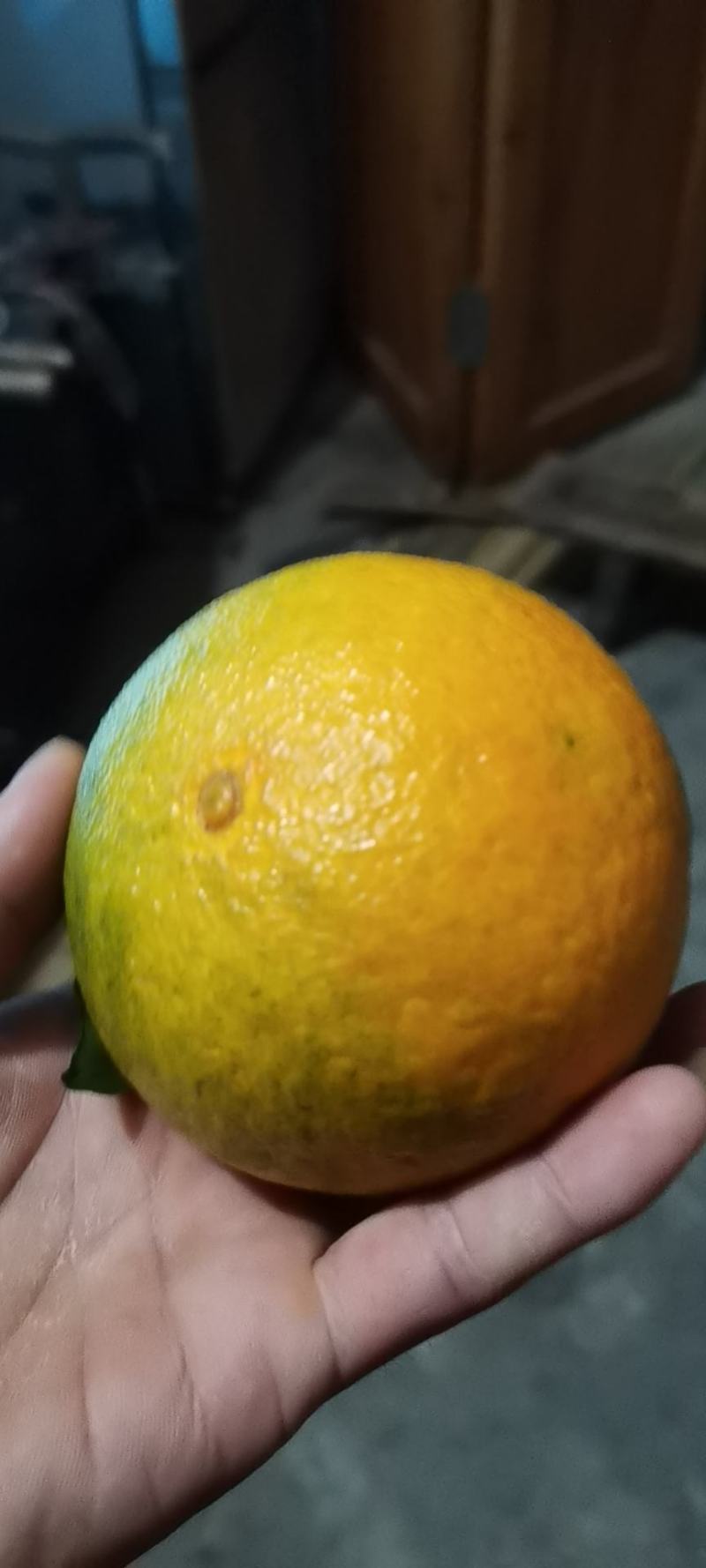 爱媛38大量上市，有想法的老板联系