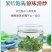2025年新蒲公英批发干净无杂质厂家发货
