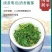 2025年新蒲公英批发干净无杂质厂家发货