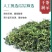 2025年新蒲公英批发干净无杂质厂家发货