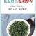 2025年新蒲公英批发干净无杂质厂家发货