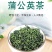 2025年新蒲公英批发干净无杂质厂家发货
