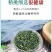 2025年新蒲公英批发干净无杂质厂家发货