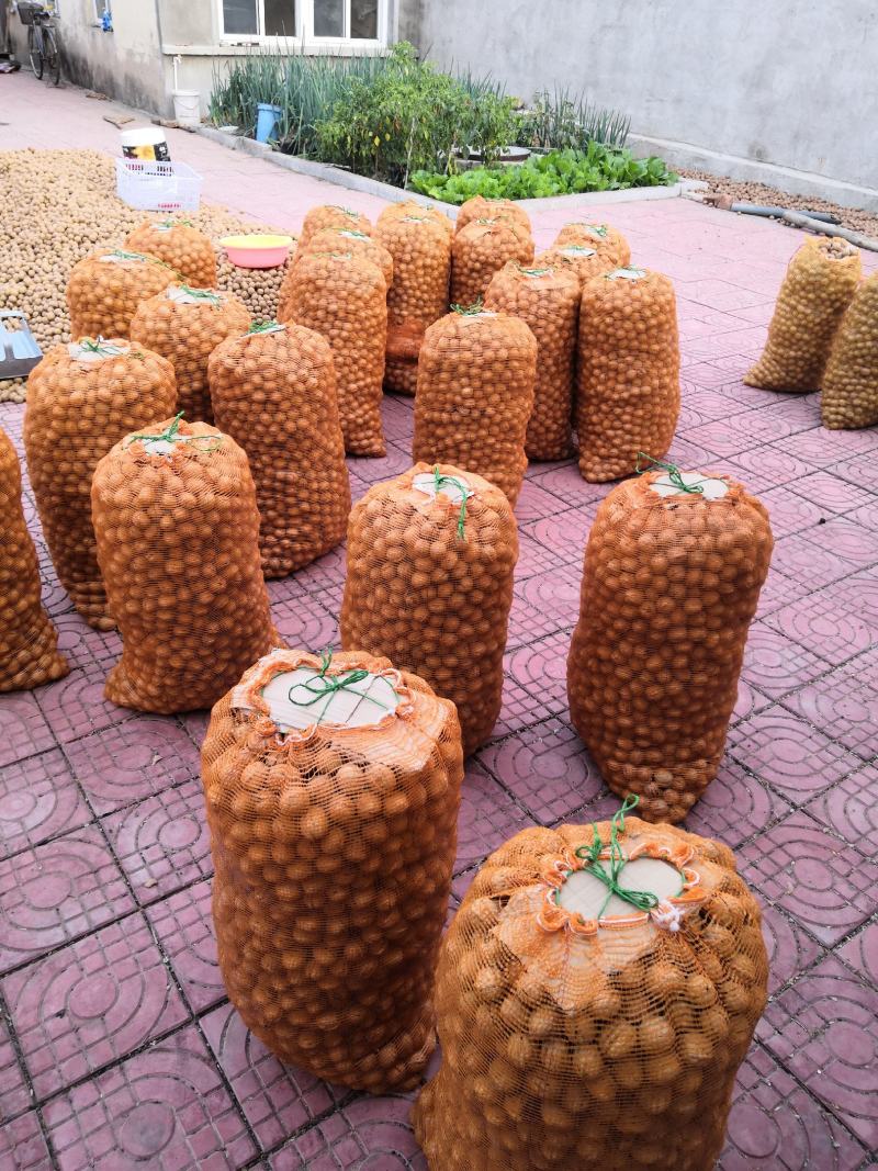 清香薄皮核桃，大量供货，产地直销，果仁饱满，一件代发