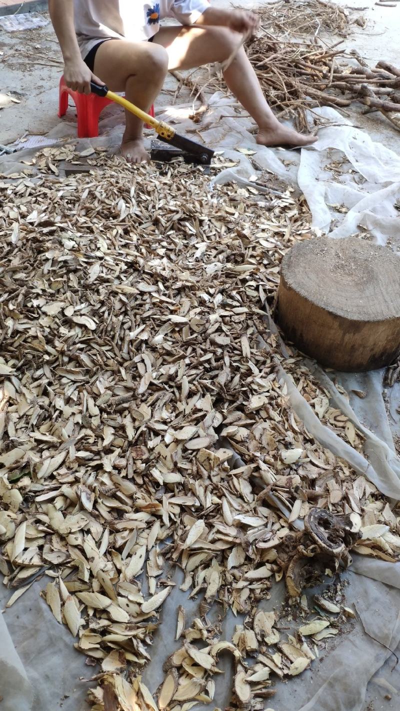 野生牛大力根，长期供应大量野生牛大力根，干品、鲜货都有。
