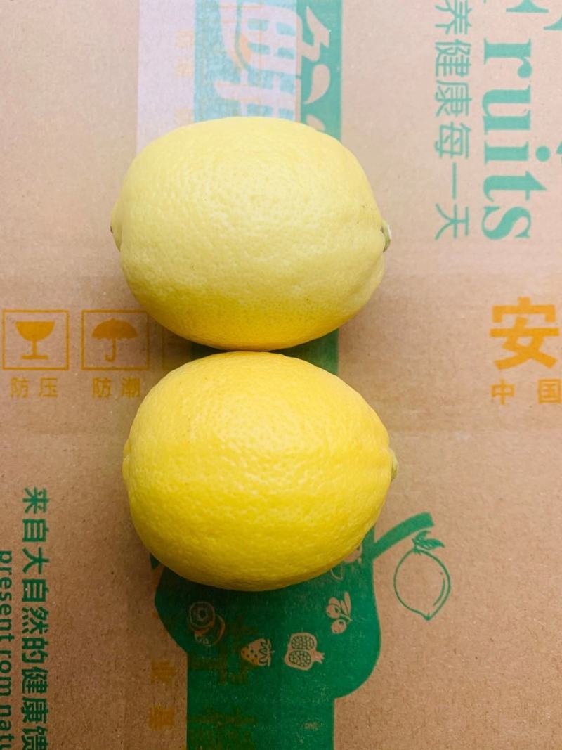 柠檬新果2020新柠檬上市一件代发