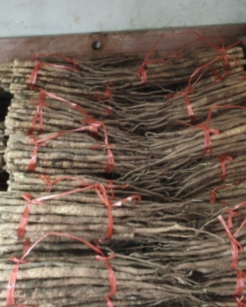 河南温县正宗垆土铁棍山药自家种植山药。一手货源品质保证