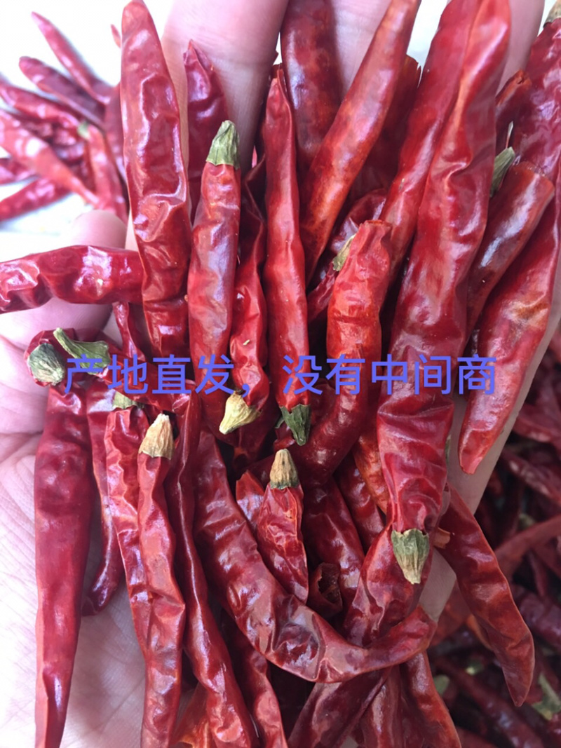 辣椒段，全国包邮，微辣中辣特辣，品种齐全，欢迎下单