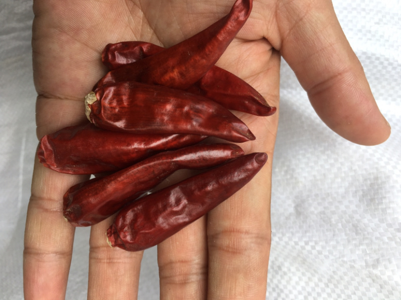 辣椒段，全国包邮，微辣中辣特辣，品种齐全，欢迎下单