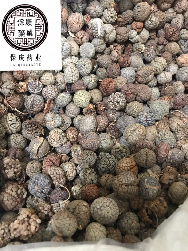 草寇草蔲草豆蔻大料批发草寇大草寇