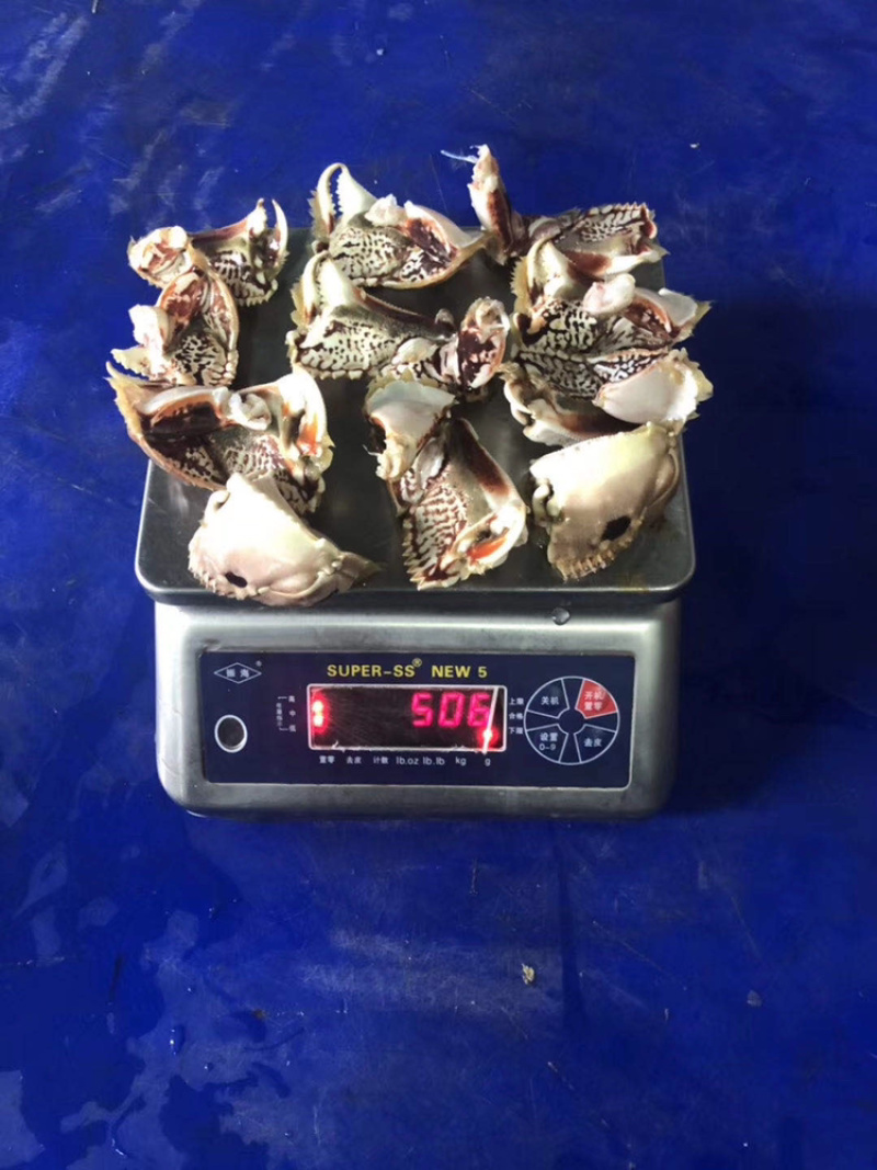 精选面包蟹脚（深海螃蟹）