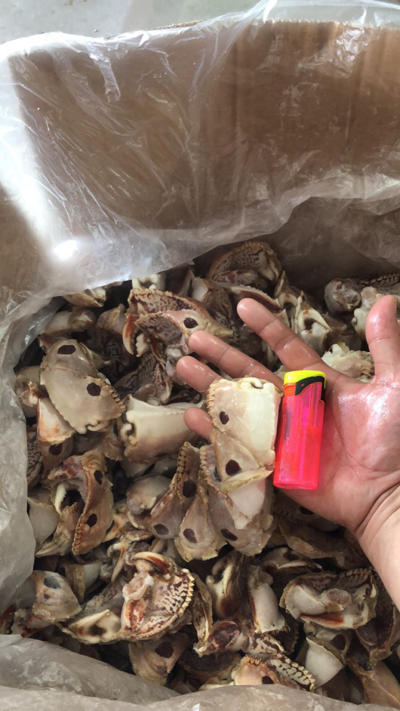 精选面包蟹脚（深海螃蟹）