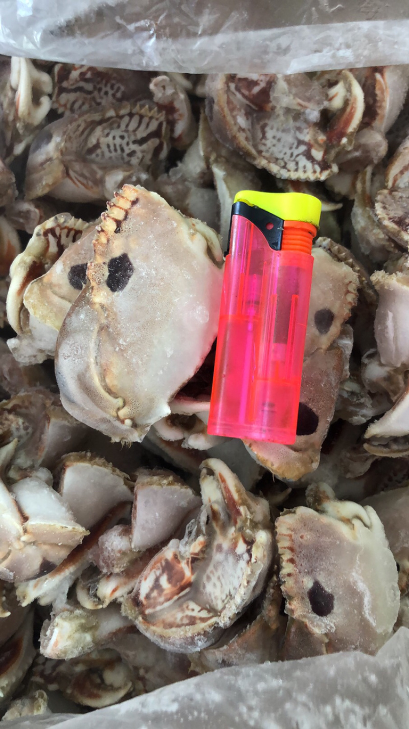 精选面包蟹脚（深海螃蟹）