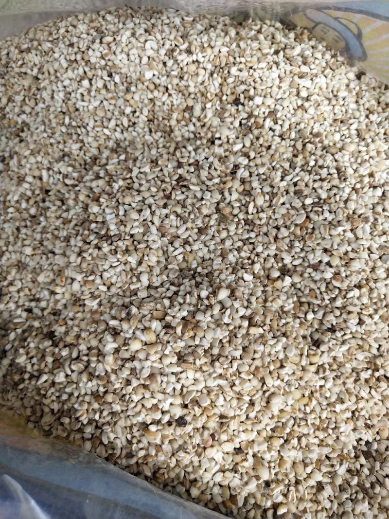 薏米仁碎颗粒新货产地货源整件批发承接大货量大从优