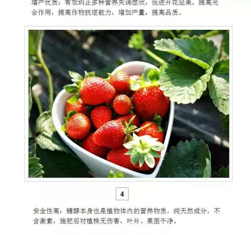 大量元素水溶肥高钾12-8-40，以色列雅翠凯普乐进口
