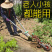 手拉犁人力微耕机铧式犁手捞犁种菜开沟犁起垄神器开沟器