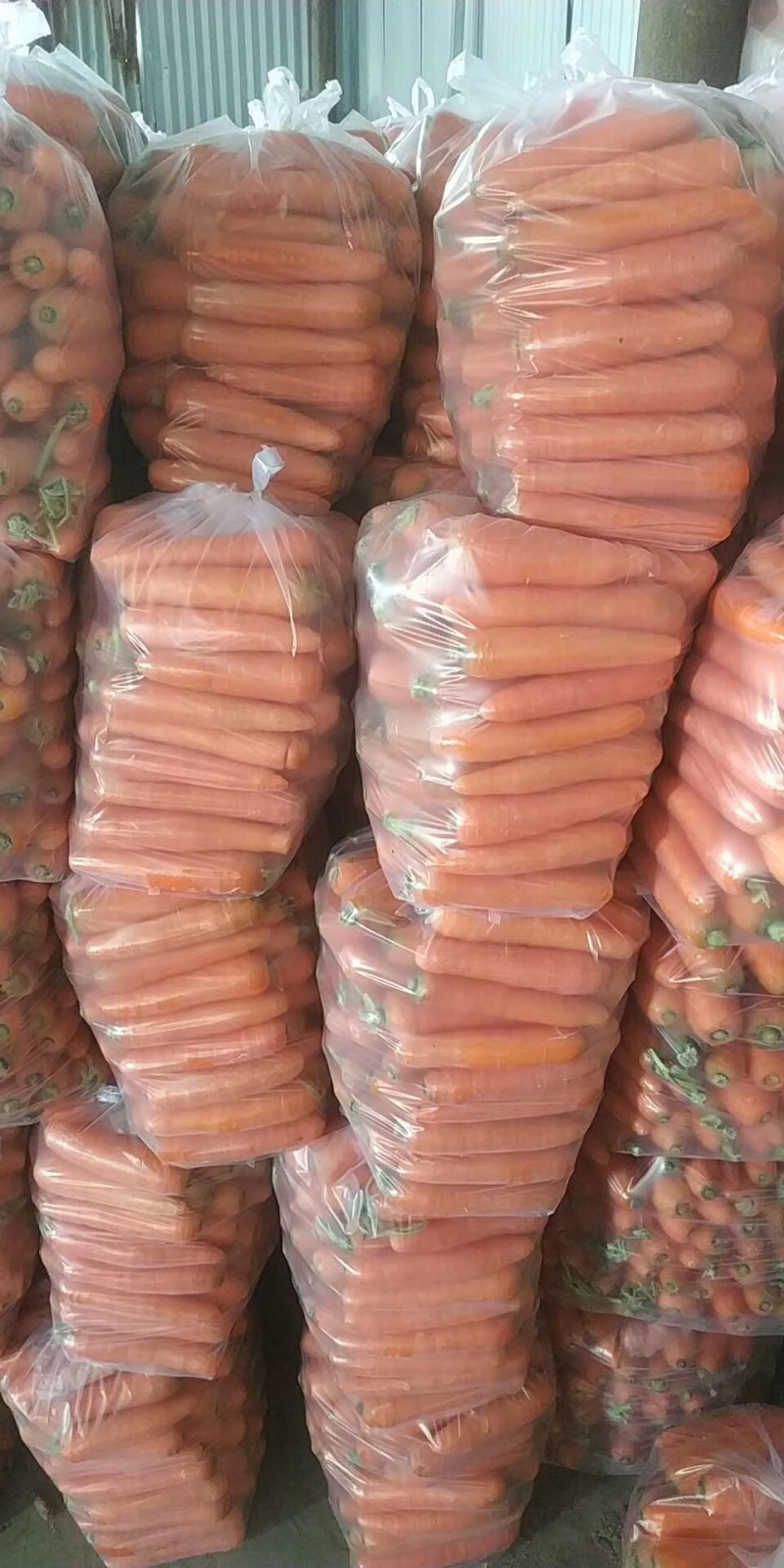 胡萝卜精品、水洗土货