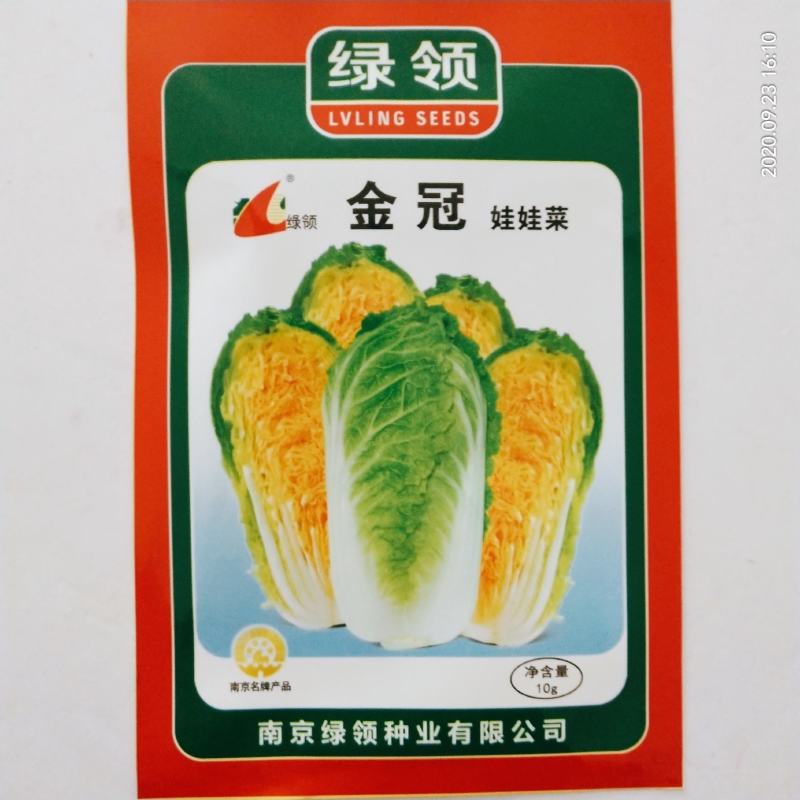 娃娃菜种子黄心杂交品质种娃娃菜种子包正欢迎咨询
