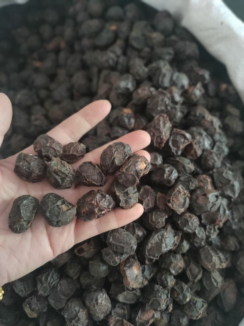 【精品】湖南永州广枣大量出售2020新货无脱皮质优价廉