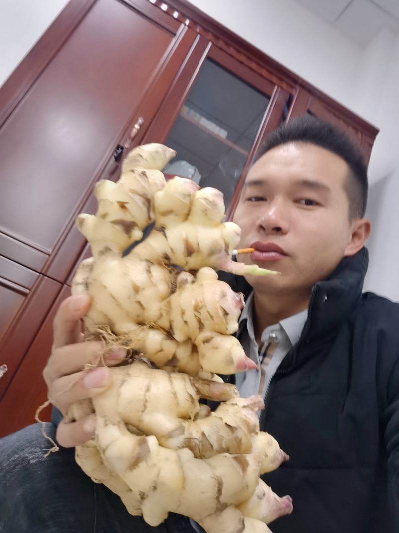 生姜，好货，不等人，
