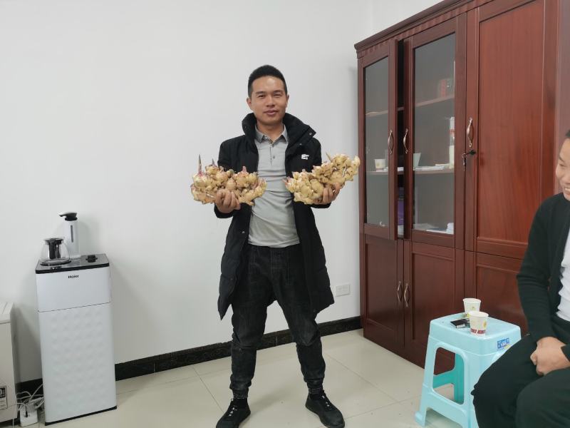 生姜，好货，不等人，