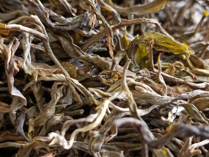 2020年勐库磨烈古树秋茶散料浓香蜜意