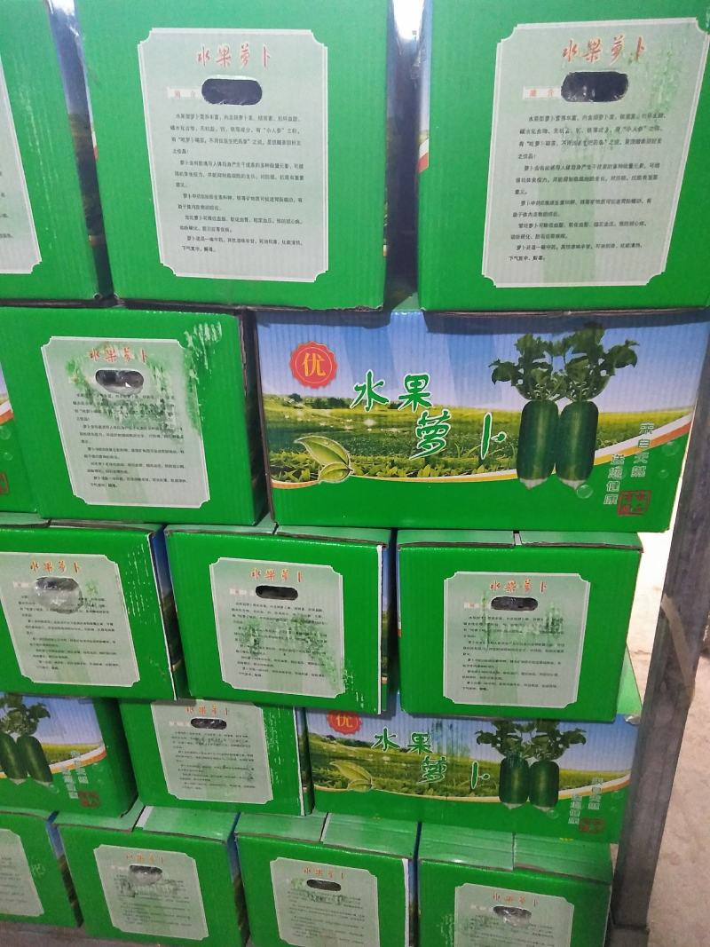 水果萝卜杂交品种口感很好