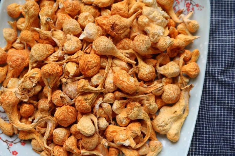 广州人大号孢子头虫草花排草味道清香无染色老少皆宜