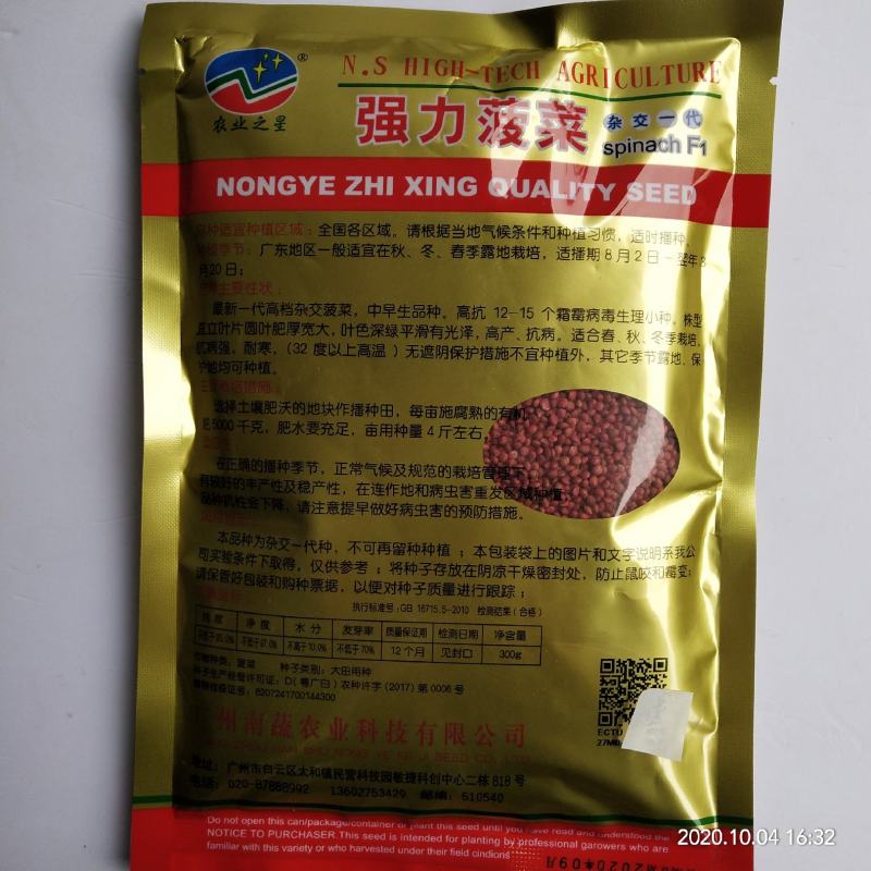 菠菜种子四季播种叶绿直立性好，高产露天大棚种植品种种子