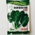 菠菜种子四季播种叶绿直立性好，高产露天大棚种植品种种子